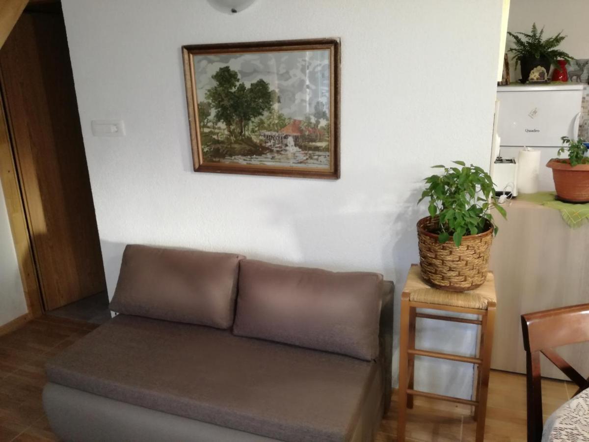Kuca Za Odmor "Jasna" Apartment Crni Lug Ngoại thất bức ảnh